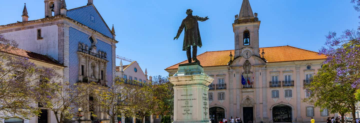 Visita guidata di Aveiro