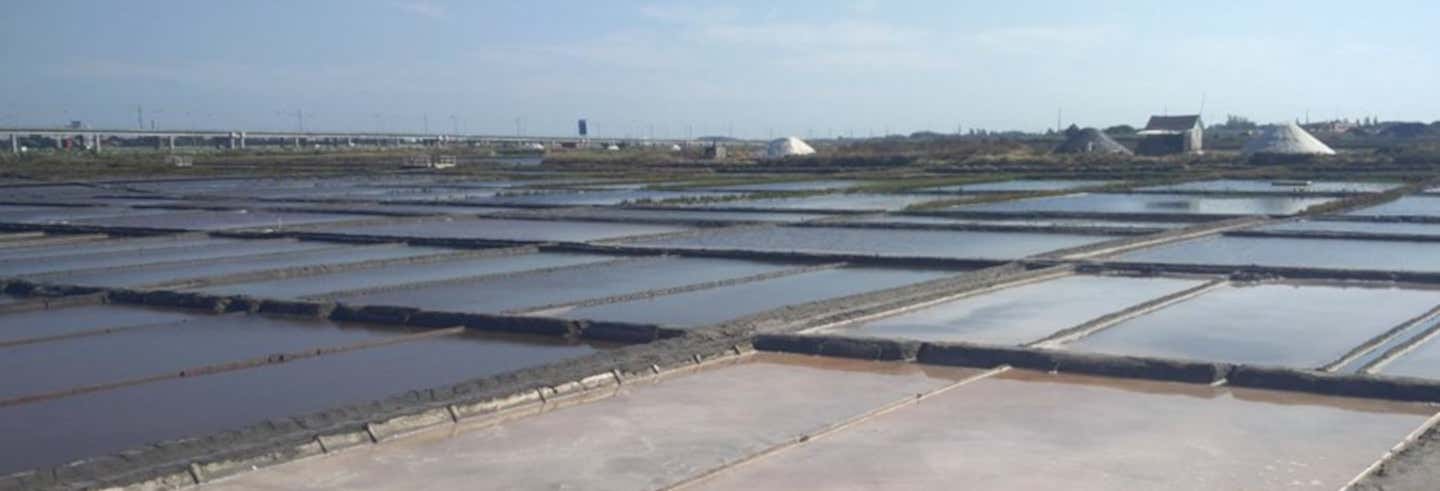 Visita a las salinas de Aveiro