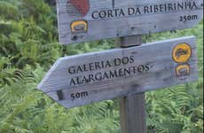 Excursion à Tresminas et Pedras Salgadas