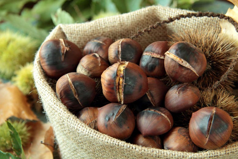 Portugues roasted chestnuts