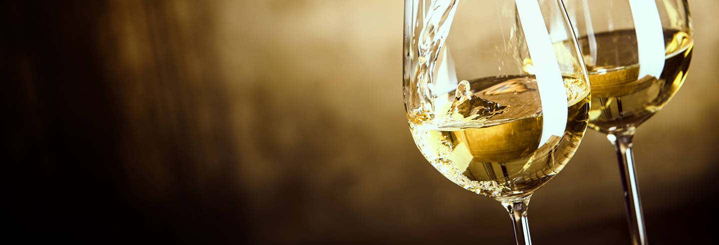 Dégustation de vin à la Quinta de Santa Cristina
