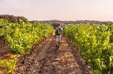 Excursion dans la région de Bairrada