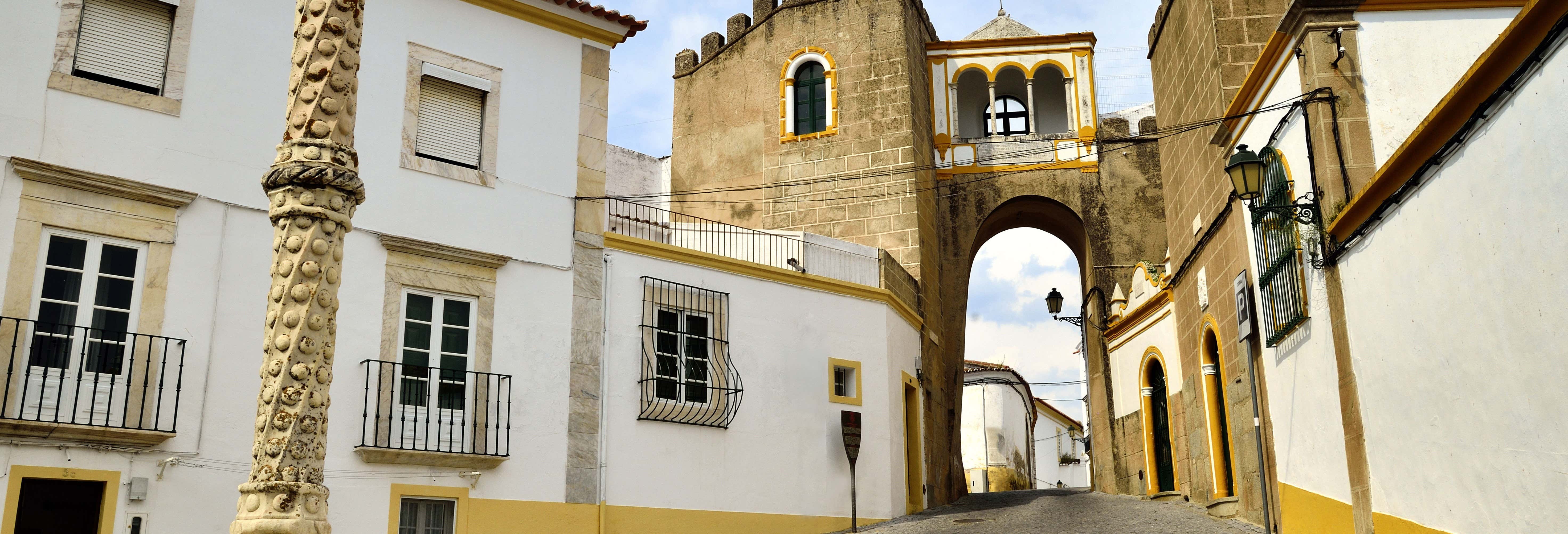 Tour privado por Elvas