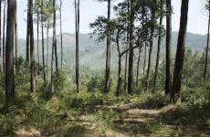 Sintra-Cascais Natural Park Bike Tour