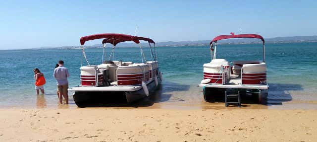 Excursión en catamarán a las islas de la Ría Formosa