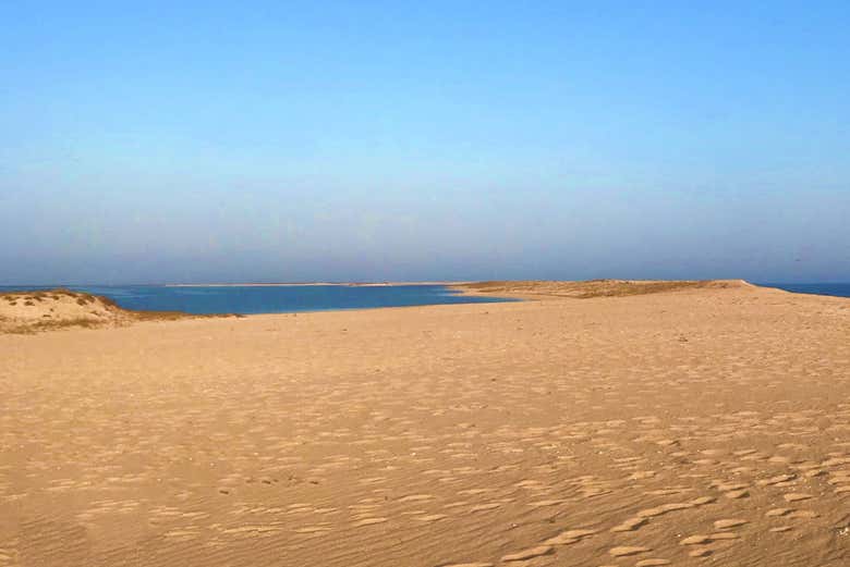 Giro In Motoscafo A Ilha Deserta Da Faro Civitatis Com