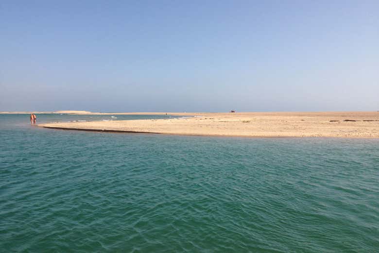 Giro In Motoscafo A Ilha Deserta Da Faro Civitatis Com