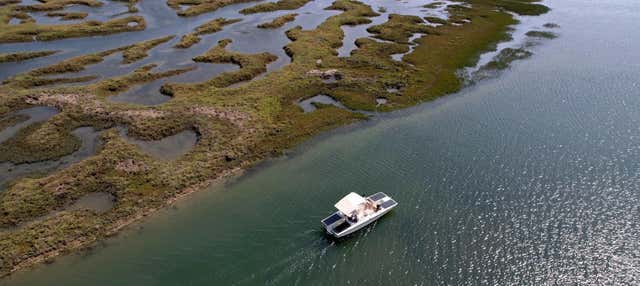 Croisière à travers la Ria Formosa