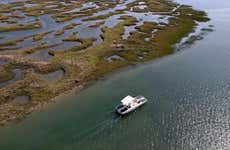 Tour in barca di Ria Formosa