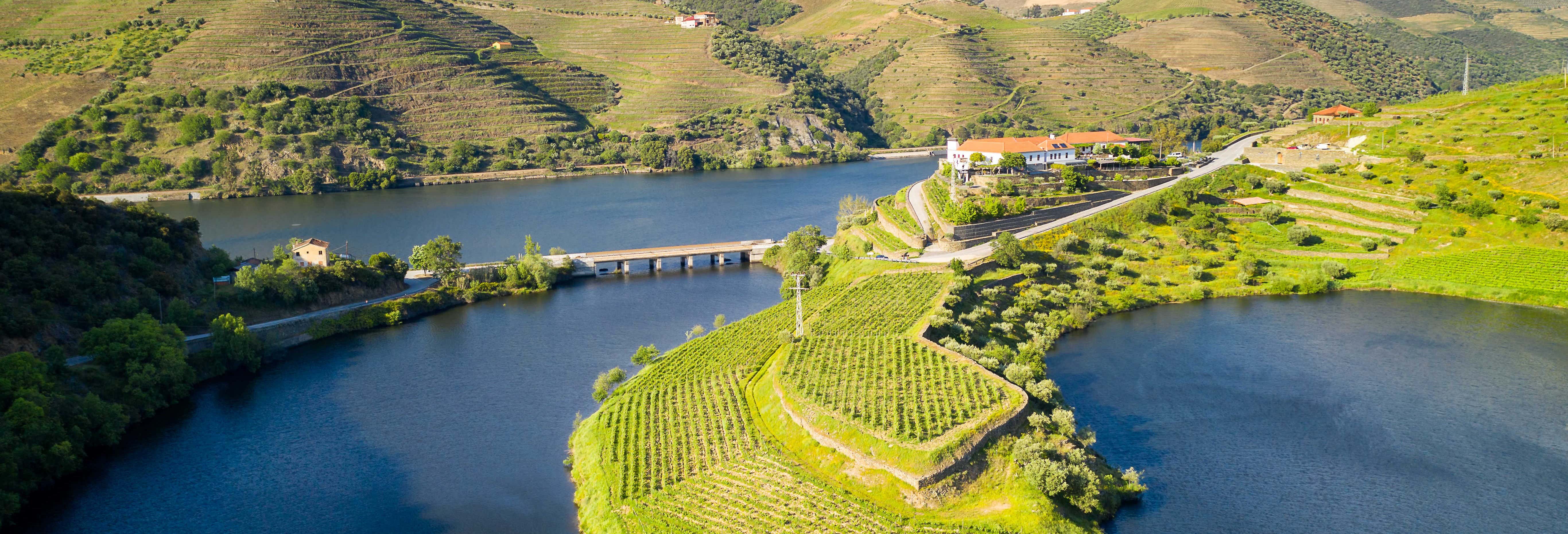Visita a la bodega Quinta do Tedo