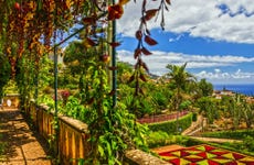 Tour por Monte e Jardim Botânico da Madeira