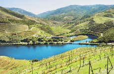 Visite de la région du Douro