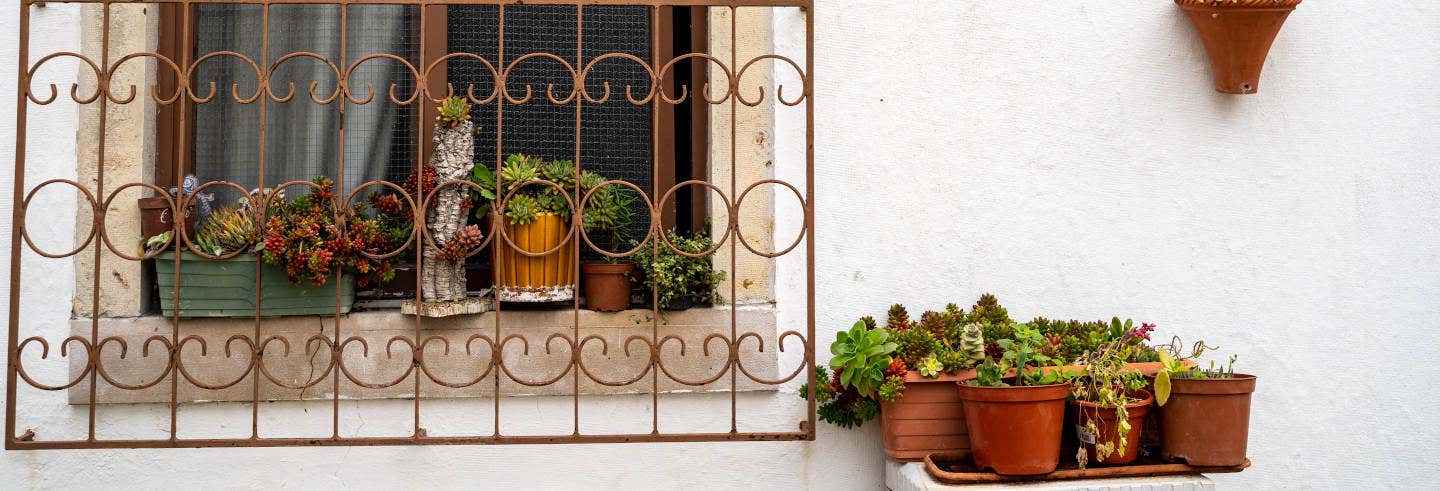 Excursion dans l'intérieur de l'Algarve