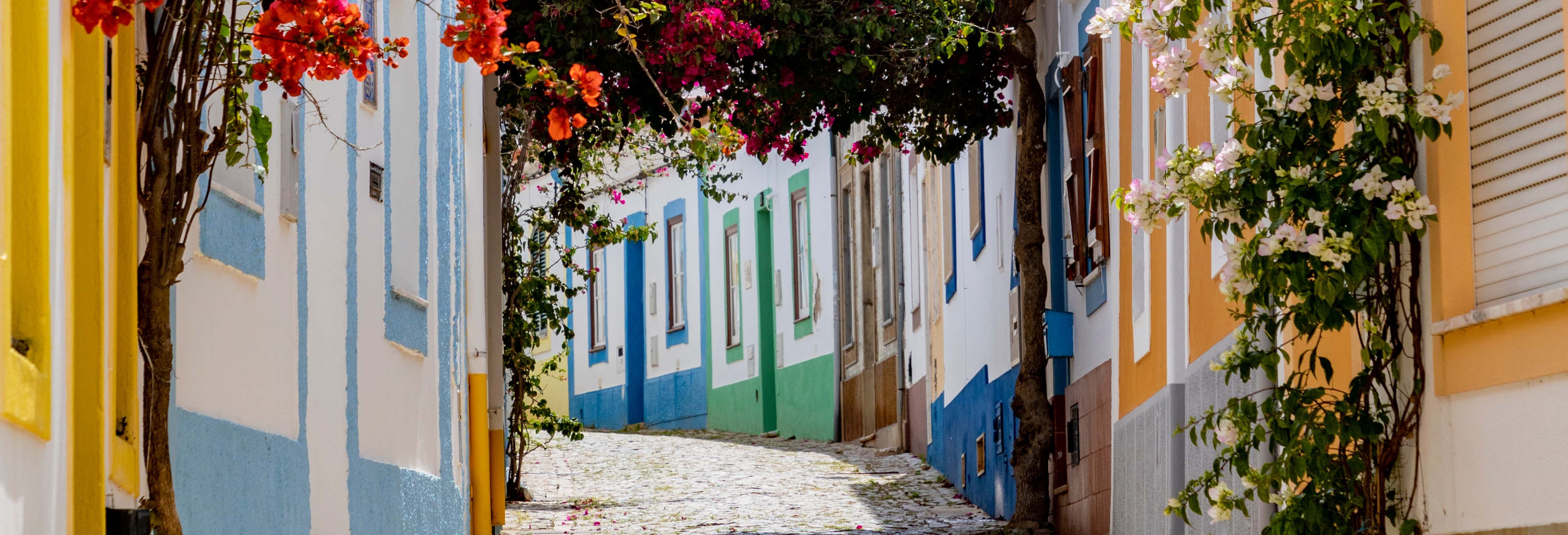 Tour por Carvoeiro, Benagil y Ferragudo + Cata de vinos