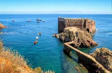 Excursão à Berlenga Grande