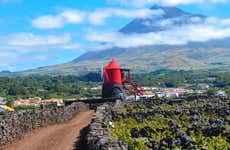 Pico Island Wine Tour