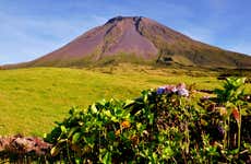 Pico Island Volcanoes & Lakes Tour