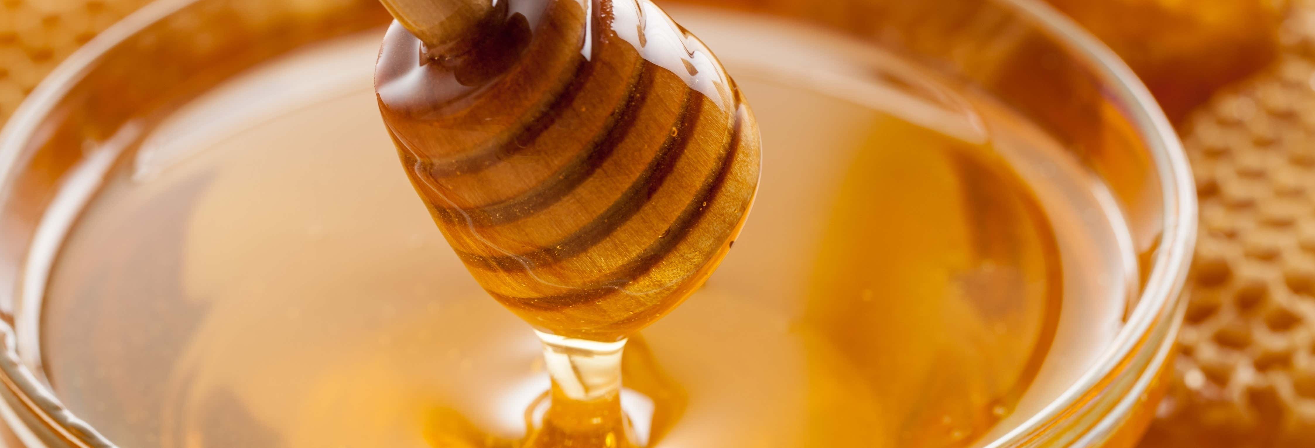 Visita a una fábrica de miel