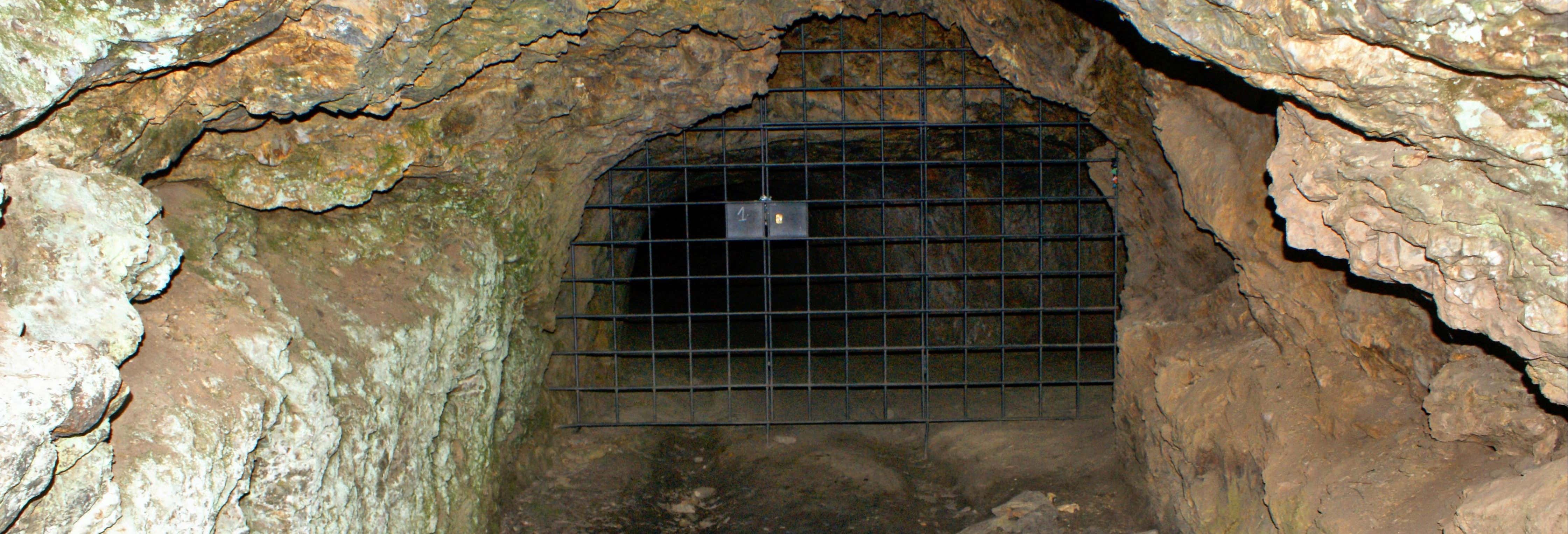 Excursão a Tresminas e Pedras Salgadas