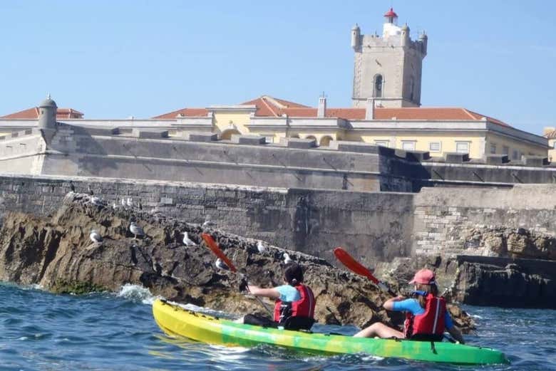 Lisbon Kayak Tour from Oeiras Book Online at