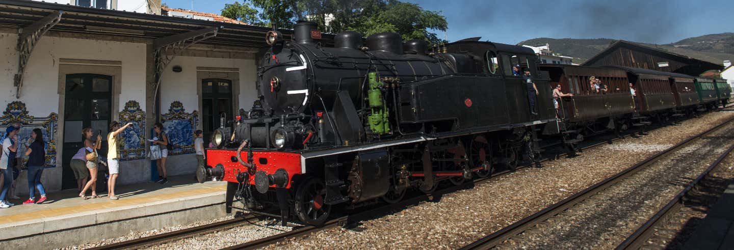 Valle del Duero en 2 días + Tren histórico