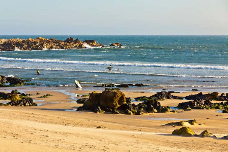 Visite Autour Du Poisson A Matosinhos Porto