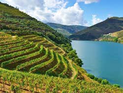 Vale do Douro