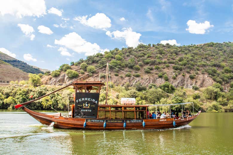 Tour de viñedos y bodegas de vino de Oporto - Civitatis.com