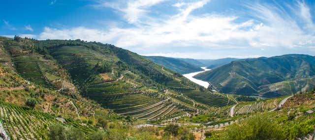 Visite de la région du Douro