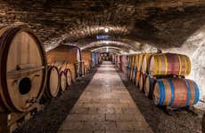 Tour de viñedos y bodegas