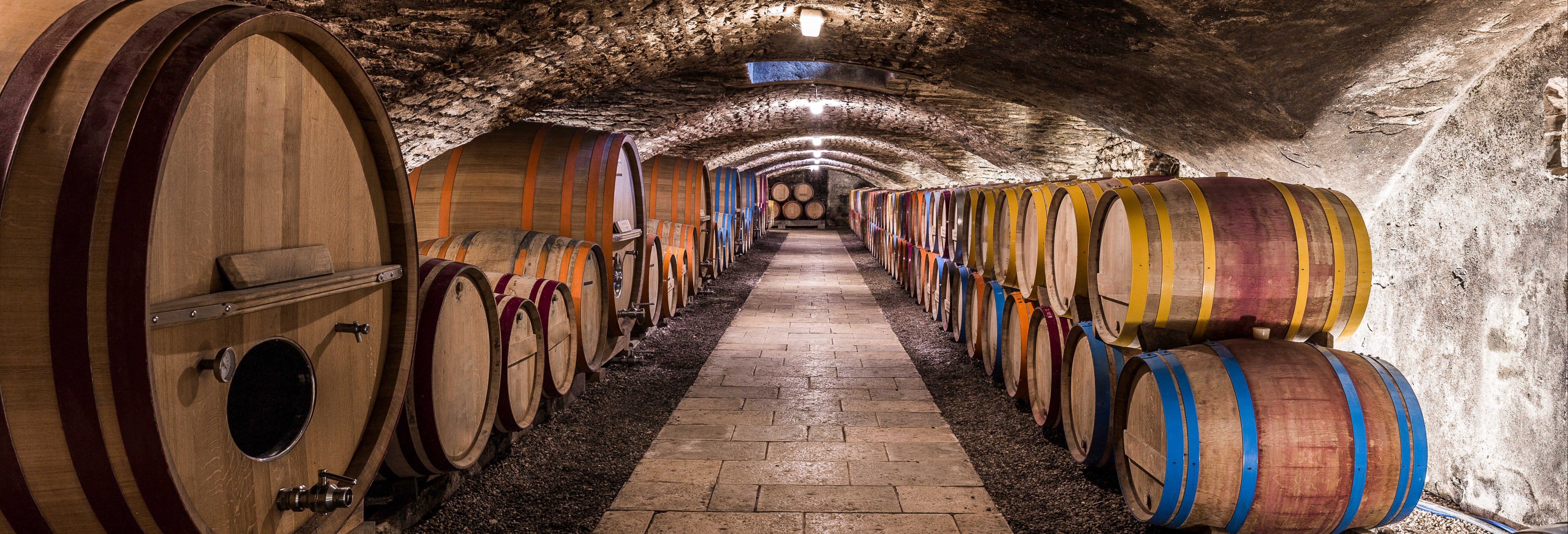 Visite des vignobles et des caves à vin
