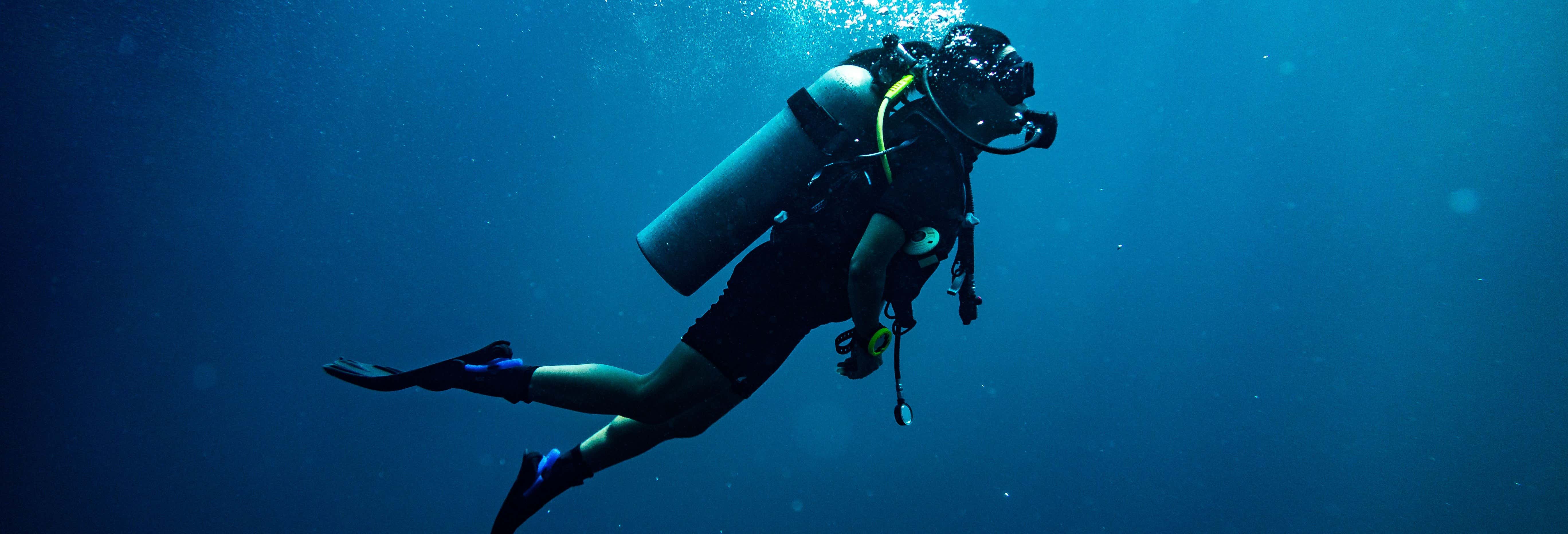 Immersione per principianti a Berlenga Grande