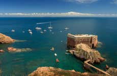 Excursão às ilhas das Berlengas e suas grutas