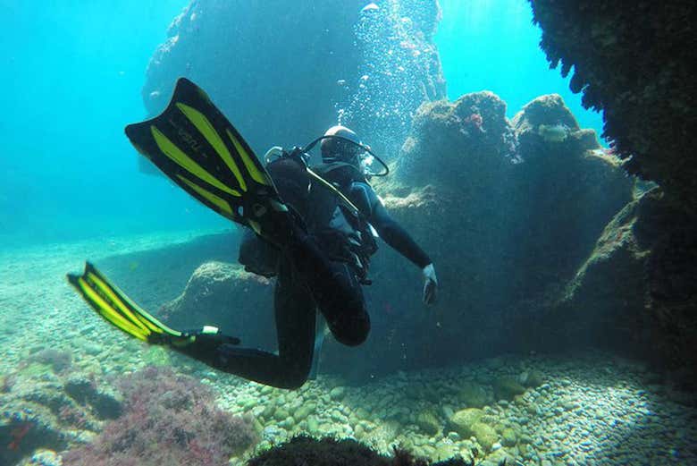 Beginner's Dive On Berlenga Grande From Peniche - Civitatis.com