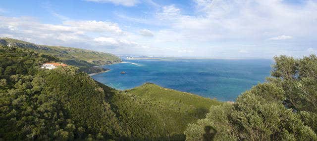 Tour pela Arrábida + Degustação de vinhos