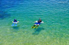 Snorkel no Portinho da Arrábida