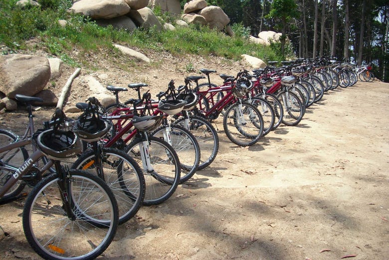 Bikes for the tour