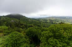 Hiking in the Sintra Natural Park