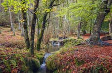 Visite du Parc National Peneda-Gerês