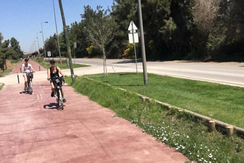 Bicycle Tour of Vilamoura Book Online at