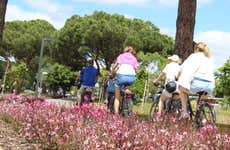 Bicycle Tour of Vilamoura