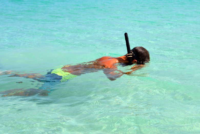 La Parguera Snorkelling Book Online at