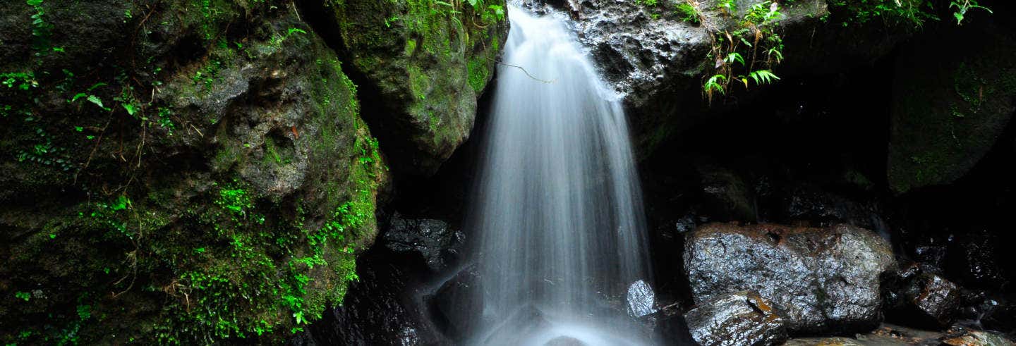 Excursión privada a la cascada Las Delicias y petroglifos de Zama