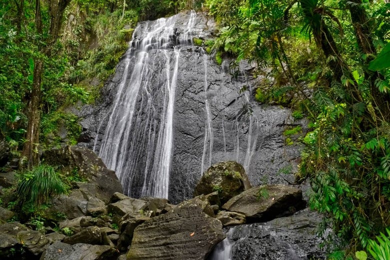 Waterfall in the El Yunque National Rainforest