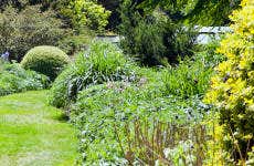 Biglietti per i giardini di Mount Ephraim