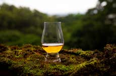 Tour del whisky por Glasgow