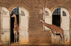 Entrada al ZSL London Zoo