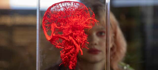 Body Worlds Tickets