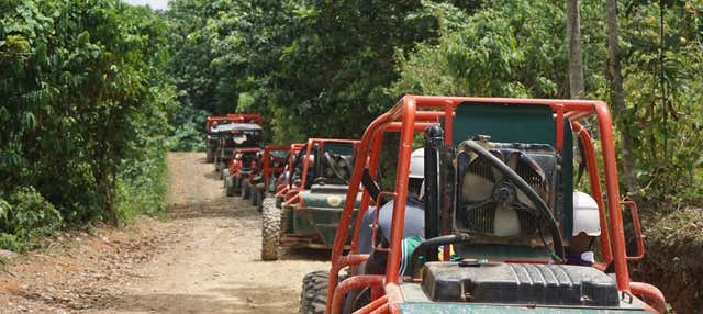 Balade en buggy ou en quad dans les plantations de canne à sucre