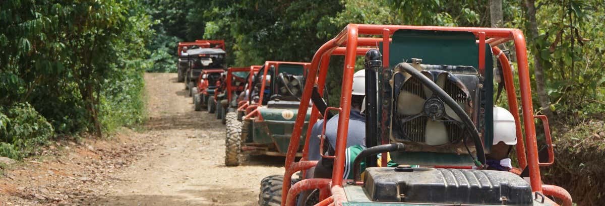 Buggy por los campos de azúcar
